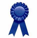 61_1_blue-ribbon-perfect-logo