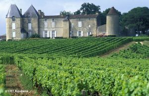 bordeaux-vineyards-france-hiking